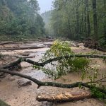 NC governor declares state of emergency; ‘large landslide’ in Great Smokies