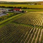 More than 20 states sue EPA over canceled grants for solar power