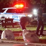 4 wounded, including 2 teens, in wild shootout at NYC park